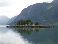 Lustrafjord